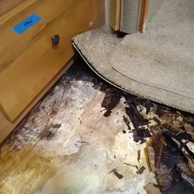 Best Wood Floor Water Damage Service in Columbiana, AL